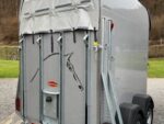 Van chevaux Bockmann Comfort Neuf – Image 4