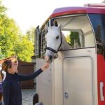 Ifor Williams – Hbx 506 – 2 Plätze – Neu